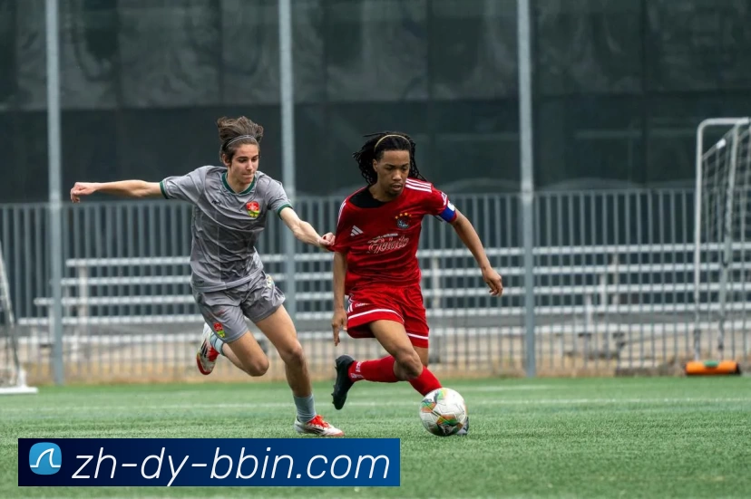 BBIN体育投注平台生态图